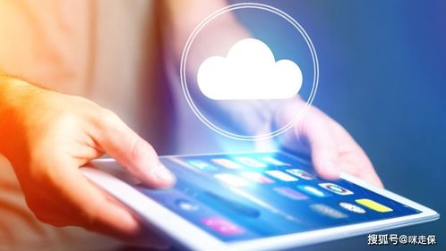 停售之后 互联网保险内卷时代的终结与技术服务新篇章