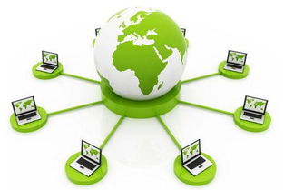 全球网络品牌打造 专业网络技术服务全解析